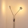 GULKANA Floor Lamp LED matt nickel, 2-light sources