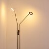 GULKANA Floor Lamp LED matt nickel, 2-light sources