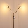 GULKANA Floor Lamp LED matt nickel, 2-light sources