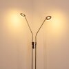 GULKANA Floor Lamp LED matt nickel, 2-light sources