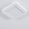 SIGUNA Ceiling Light LED white, 1-light source