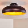 GUAYO Ceiling light copper, 1-light source
