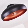 GUAYO Ceiling light copper, 1-light source