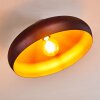 GUAYO Ceiling light copper, 1-light source