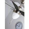 Globo MARVA fan stainless steel, grey, matt nickel, white, 1-light source