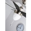 Globo MARVA fan stainless steel, grey, matt nickel, white, 1-light source