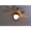 Globo MARVA fan stainless steel, grey, matt nickel, white, 1-light source