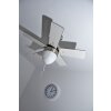 Globo MARVA fan stainless steel, grey, matt nickel, white, 1-light source