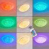 KENDAL Ceiling light LED white, 1-light source, Remote control, Colour changer