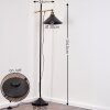 Gudem Floor Lamp black-gold, 1-light source