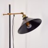 Gudem Floor Lamp black-gold, 1-light source