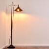 Gudem Floor Lamp black-gold, 1-light source