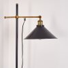 Gudem Floor Lamp black-gold, 1-light source