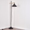 Gudem Floor Lamp black-gold, 1-light source