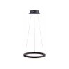 Paul Neuhaus TITUS Pendant Light LED anthracite, 1-light source