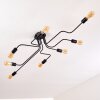 Bogno Ceiling Light black, 8-light sources