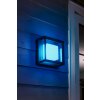 Philips HUE AMBIANCE WHITE & COLOR ECONIC Wall Light LED black, 1-light source, Colour changer