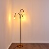 Floor Lamp Hovslund black-gold, 3-light sources
