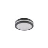 Reality KENDAL Outdoor Ceiling Light LED anthracite, 1-light source