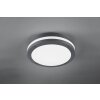 Trio PIAVE Ceiling Light LED anthracite, 1-light source, Motion sensor