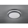Trio PIAVE Ceiling Light LED anthracite, 1-light source, Motion sensor