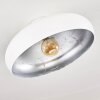 GUAYO Ceiling light aluminium, 1-light source
