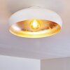GUAYO Ceiling light aluminium, 1-light source