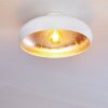 GUAYO Ceiling light aluminium, 1-light source