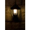 Rabalux Nizza outdoor wall light gold, brass, transparent, clear