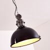 ILVY Pendant Light black, 1-light source