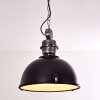 ILVY Pendant Light black, 1-light source