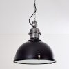 ILVY Pendant Light black, 1-light source