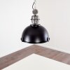 ILVY Pendant Light black, 1-light source