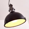 ILVY Pendant Light black, 1-light source