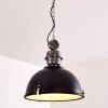 ILVY Pendant Light black, 1-light source