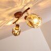 MICUNA Ceiling light bronze, 2-light sources