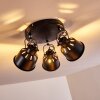 Ceiling Light Safari black, 3-light sources