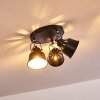 Ceiling Light Safari black, 3-light sources