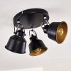 Ceiling Light Safari black, 3-light sources