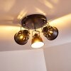 Ceiling Light Safari black, 3-light sources