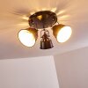 Ceiling Light Safari black, 3-light sources