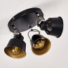 Ceiling Light Safari black, 3-light sources