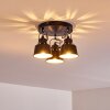 Ceiling Light Safari black, 3-light sources