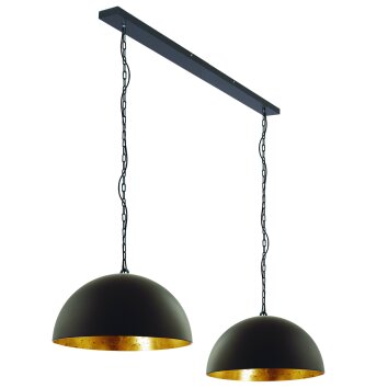 Steinhauer SEMICIRKEL Pendant Light black, 2-light sources