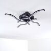 VOLTTI ceiling light LED black, 4-light sources