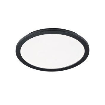 Ceiling Light Reality CAMILLUS LED black, 1-light source