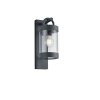 Trio Leuchten SAMBESI Outdoor Wall Light anthracite, 1-light source