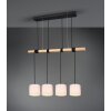 Reality ODIN Pendant Light LED black, 4-light sources