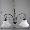 Globo Aries pendant light black, white, 2-light sources