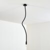 WERTACH Ceiling Light black, 1-light source